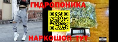 Альфа ПВП Заводоуковск