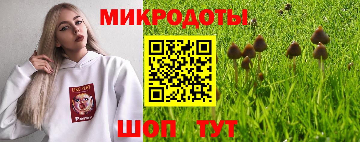 Лениногорск  Галлюциногенные грибы Cubensis  Вход с VPN 
